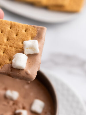 Hot Cocoa Dip