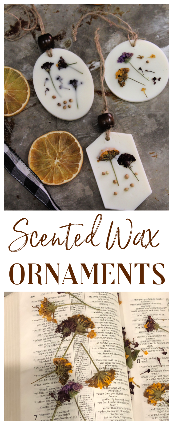 Learn how to make these beautiful Scented Botanical Wax Ornaments - they are an inexpensive way to decorate for the holidays, created with candle wax, botanicals and scent. 