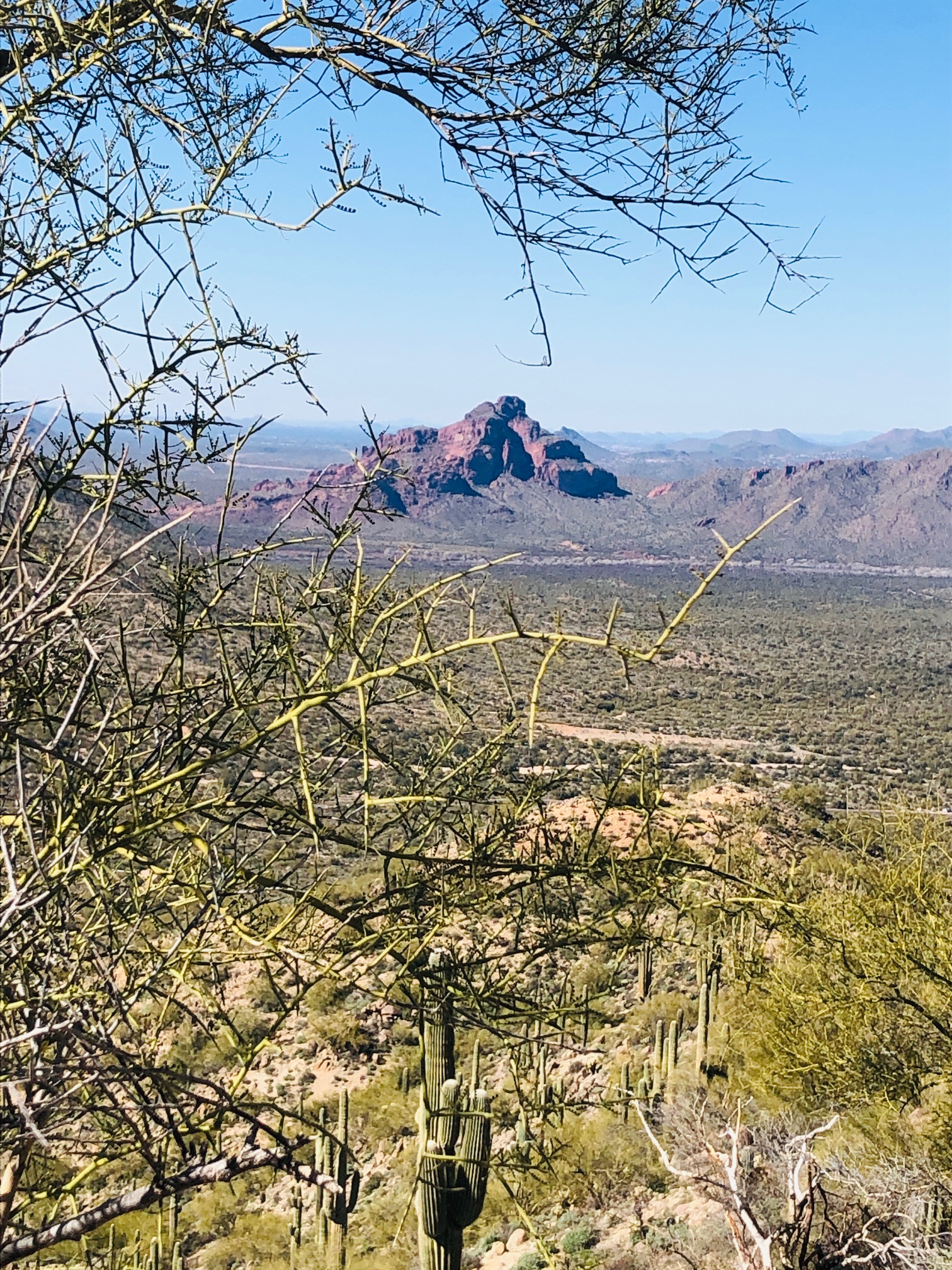 EJ Peak (Lone Mountain)