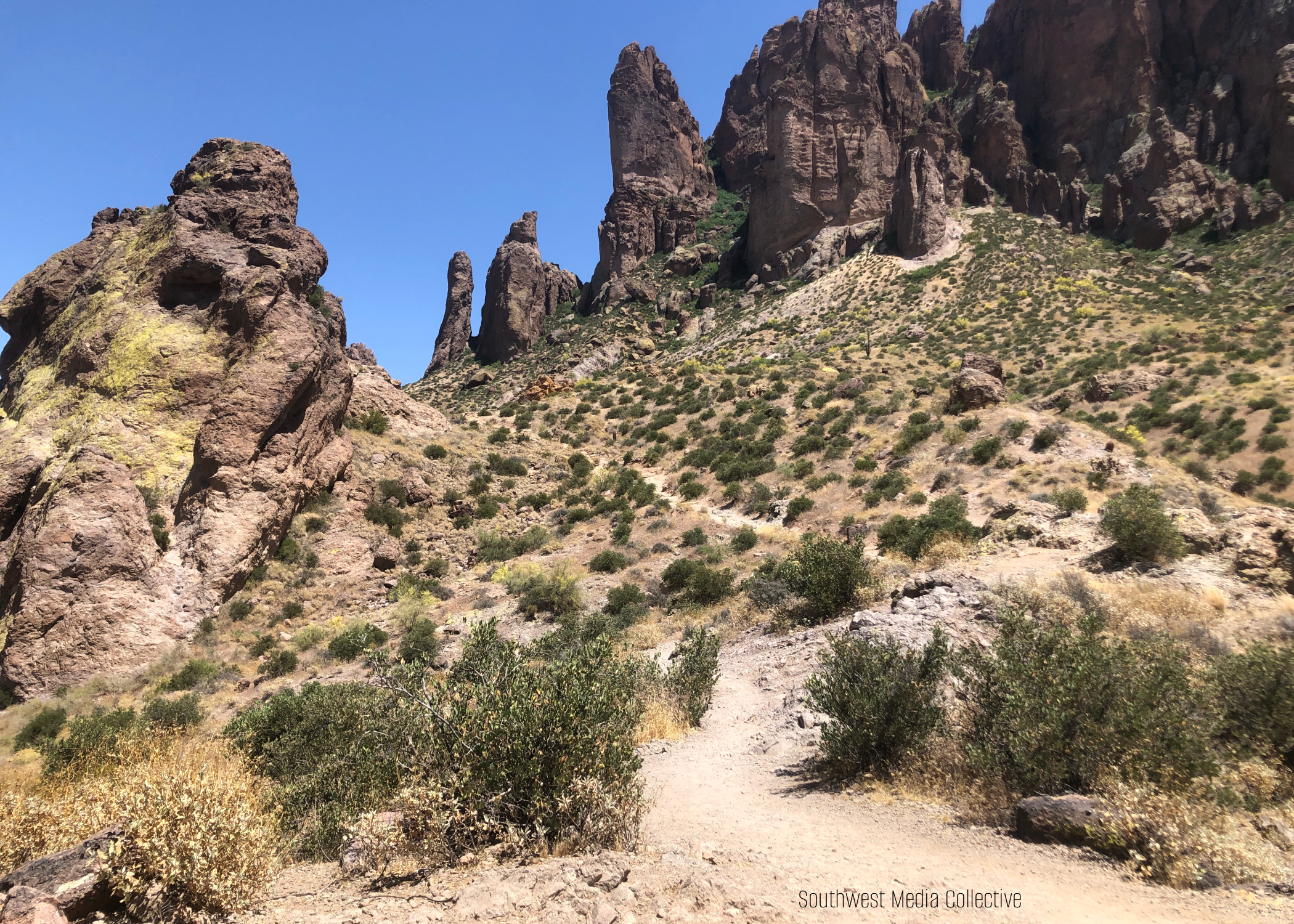 Prospector Trail, Arizona