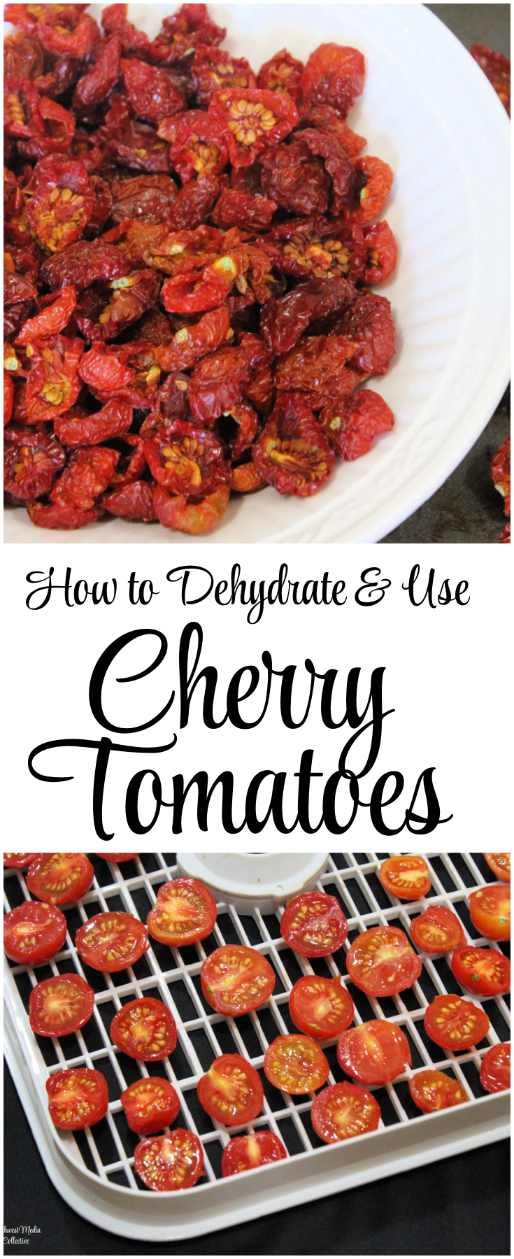 Step by step directions to help you dehydrate cherry tomatoes - the result is a tasty, burst of flavor that can be used in salads, wraps, bread and more!