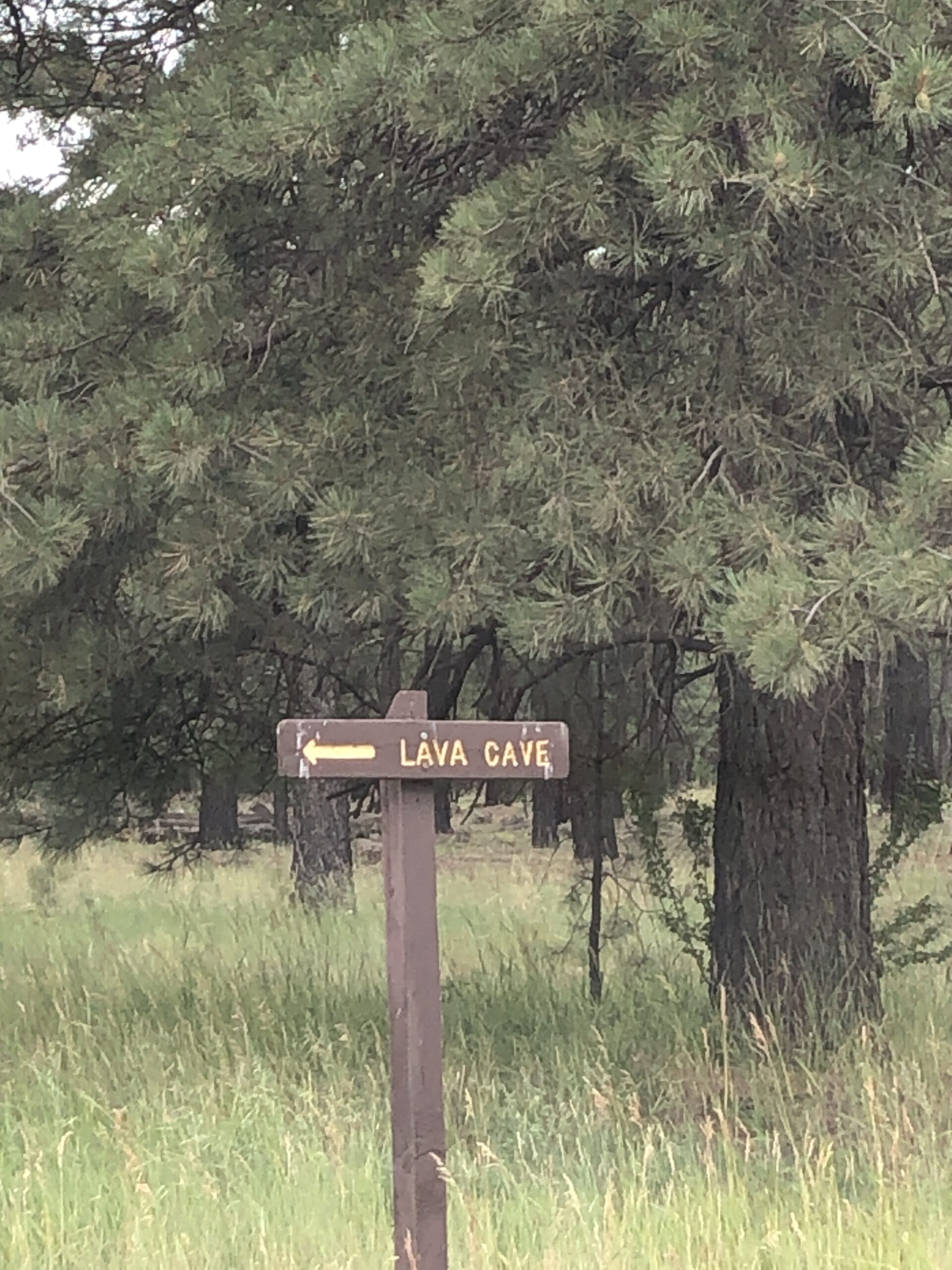 The Lava River Cave is just 30 minutes away from Flagstaff, Arizona. The cave itself was formed 700,000 years ago - at that time, molten lava erupted out of nearby Harts Prairie. The cave was founded in 1915 by lumbermen in the area.