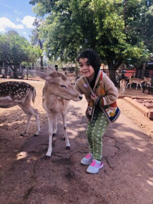 Visit the Grand Canyon Deer Farm