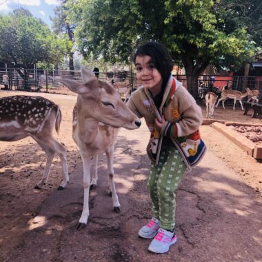 Grand Canyon Deer Farm