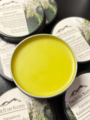 Knotweed Salve | Japanese Knotweed | 2 oz Tin