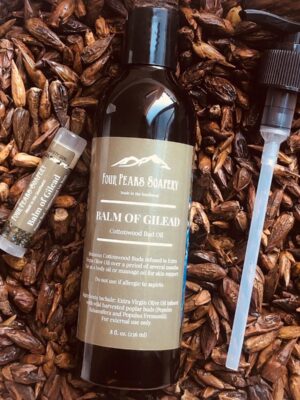 Balm of Gilead Cottonwood Bud Oil | Herbal Skin Support, Massage Oil (8 oz)