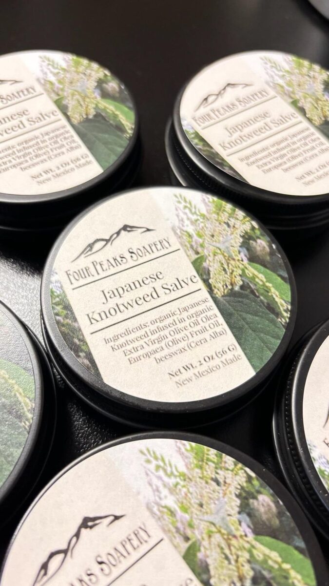 Knotweed Salve | Japanese Knotweed | 2 oz Tin