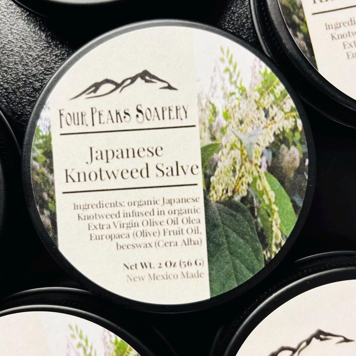 Knotweed Salve | Japanese Knotweed | 2 oz Tin